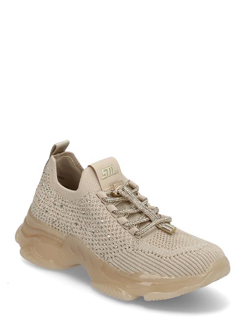 Meter Sneaker Steve Madden Beige