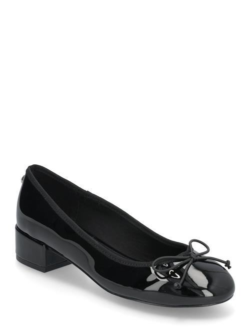 Cherish Ballerina Steve Madden Black