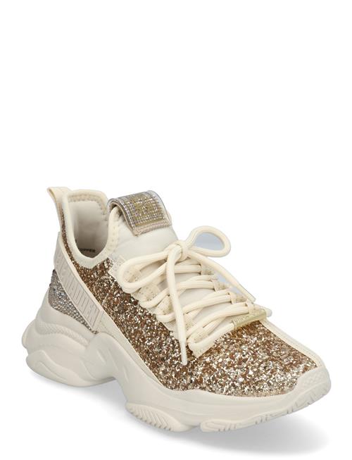 Maxilla-G Sneaker Steve Madden Gold