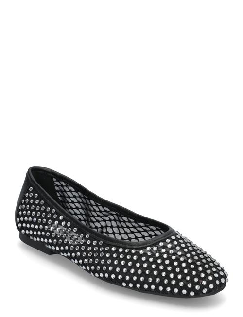 Auden Steve Madden Black