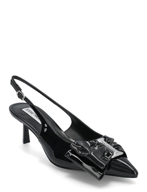 Kaci Slingbacks Steve Madden Black