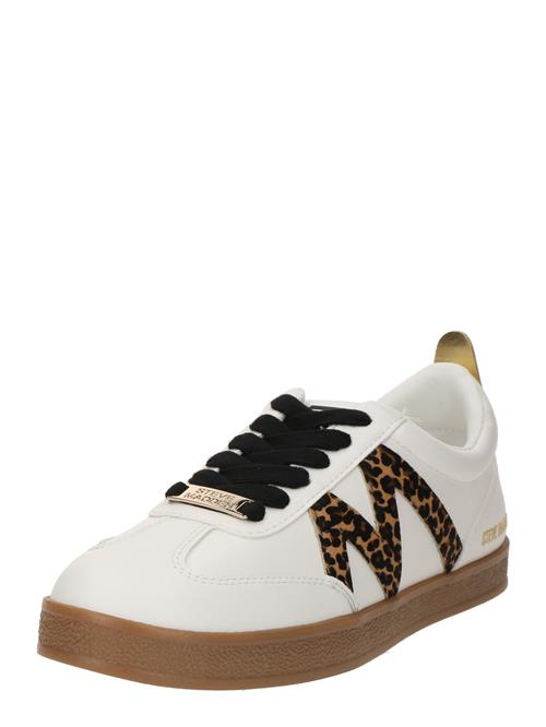 STEVE MADDEN Sneaker low 'Degree'  brun / sort / hvid