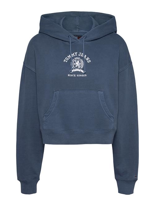 Tommy Jeans Sweatshirt  blå