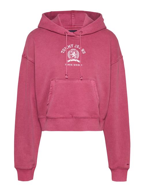 Tommy Jeans Sweatshirt 'VARSITY'  burgunder / hvid