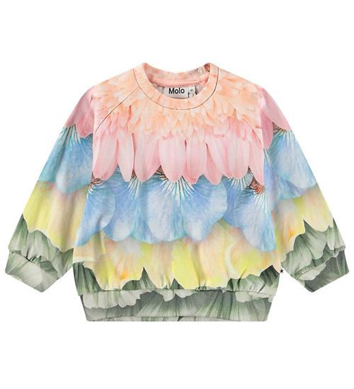 Molo Sweatshirt - Disc - Petal Rainbow m. Blomsterprint