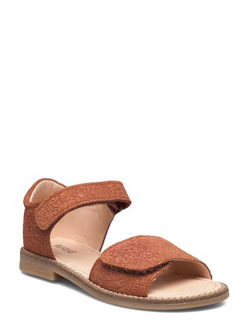 Tasha Sandal Wheat Brown