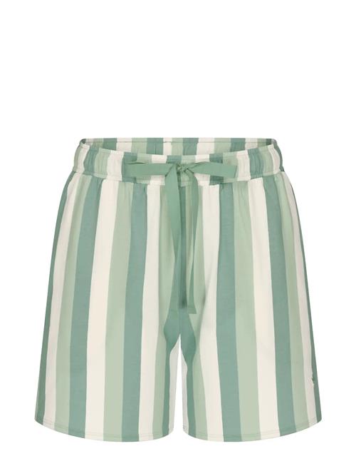 Mix & Match Shorts Triumph Green