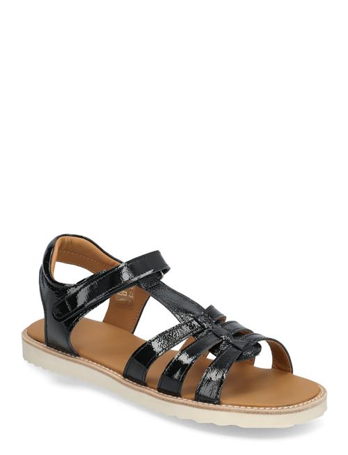 Sandals - Flat - Open Toe - Op ANGULUS Black