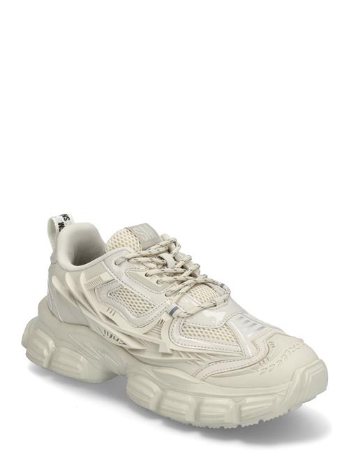 Quantico Sneaker Steve Madden Cream