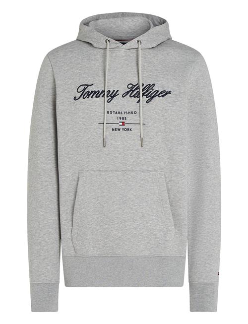 Script Logo Hoody Tommy Hilfiger Grey