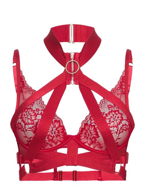 Clementine Up Ll Hunkemöller Red