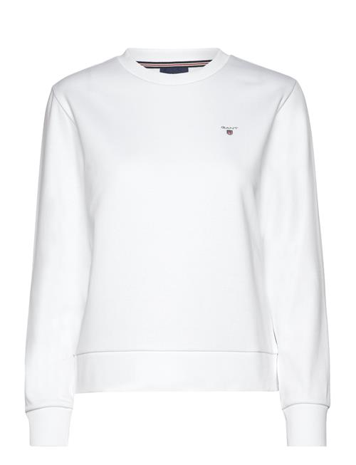 Reg Sweat GANT White