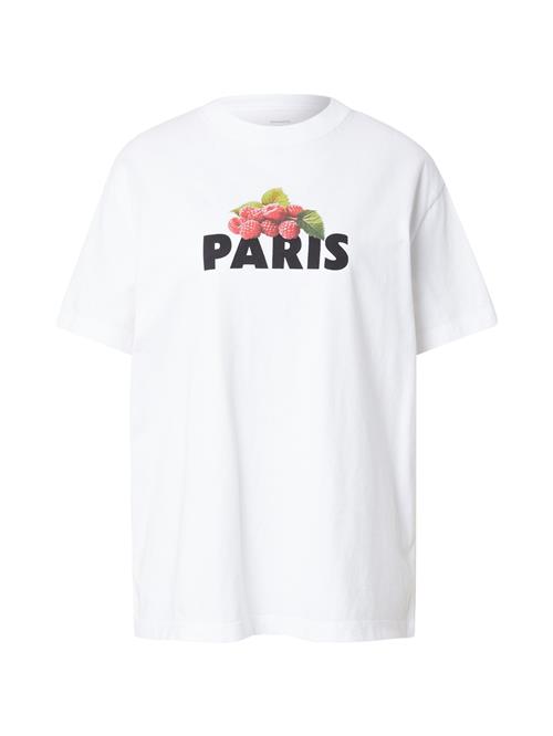 Abercrombie & Fitch Shirts 'PARIS RASPBERRY'  kiwi / sort / hvid