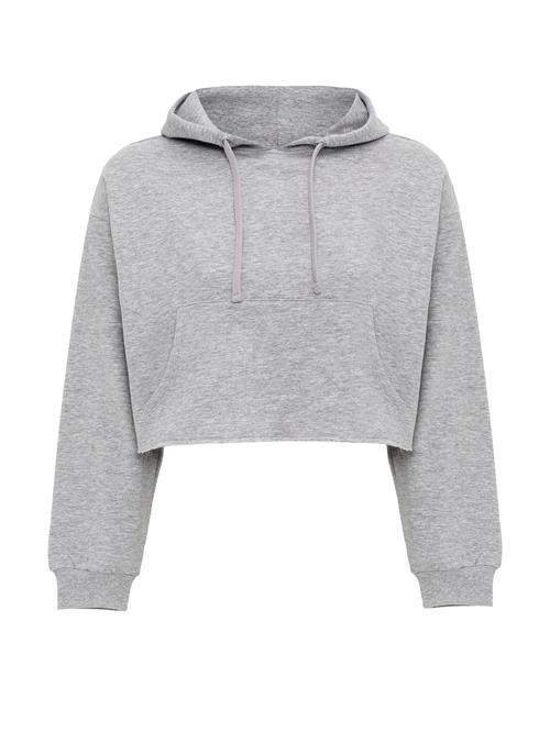 Se Jacey Quinn Sweatshirt 'Heide'  grå ved About You