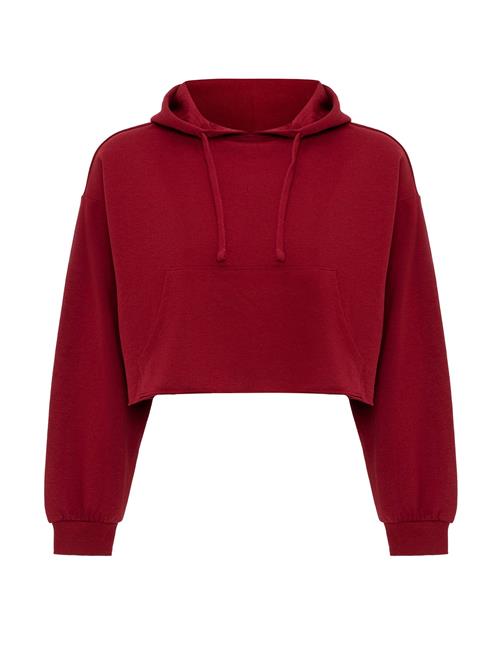 Jacey Quinn Sweatshirt 'Heide'  bordeaux