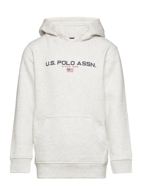 Sport Oth Bb Hoodie U.S. Polo Assn. Grey