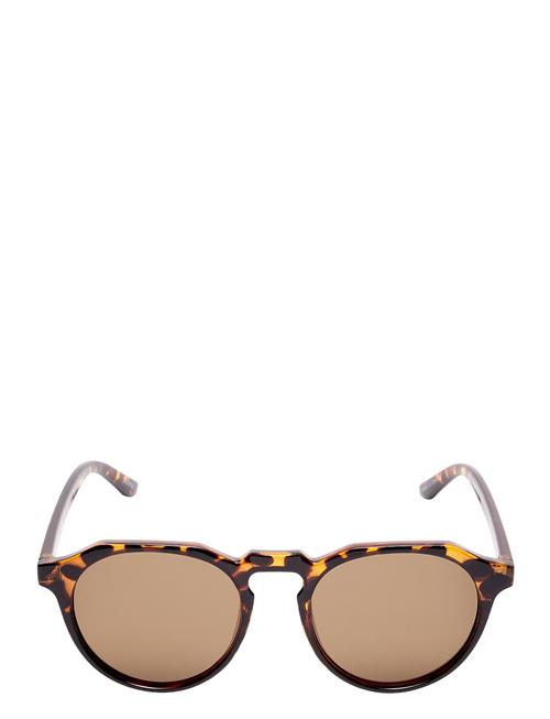 Slhskyler Sunglasses Selected Homme Brown