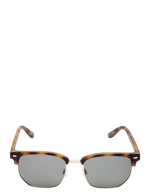 Slhskyler Sunglasses Selected Homme Brown