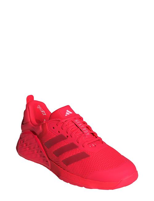 Dropset 3 Trainer Adidas Performance Red