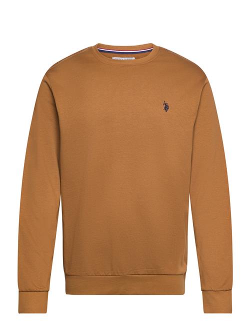 Uspa Sweat O Neck Adler Men U.S. Polo Assn. Brown