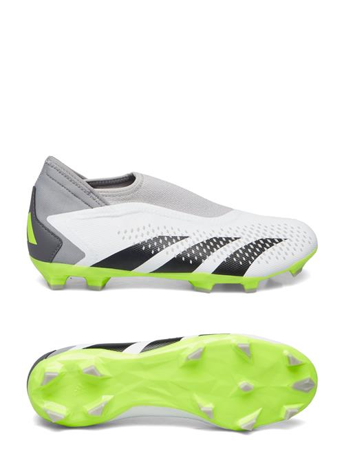 Predator Accuracy.3 Ll Fg Adidas Performance White