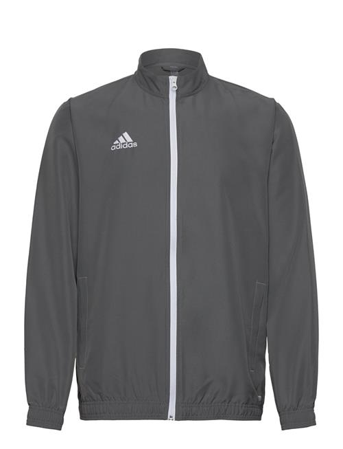 Ent22 Pre Jkt Adidas Performance Grey