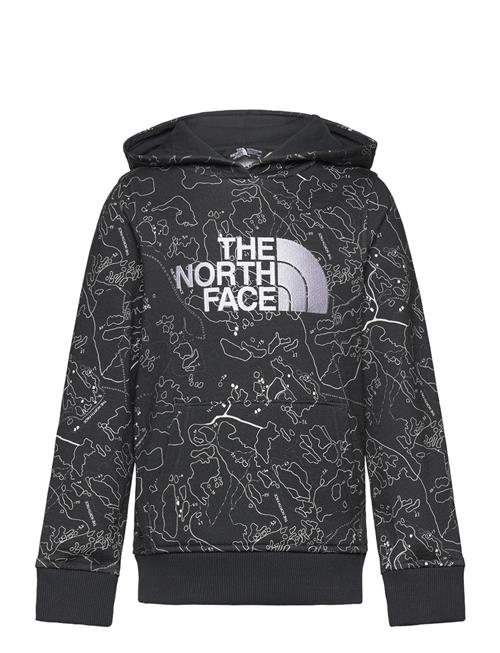 B Drew Peak P/O Hoodie Print The North Face Grey