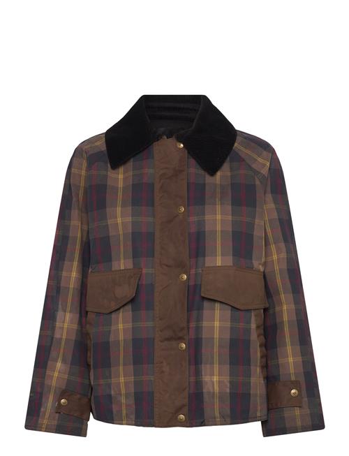 Checked Parka With Contrasting Collar Mango Navy