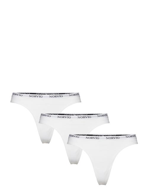 3-Pack Womens String NORVIG White