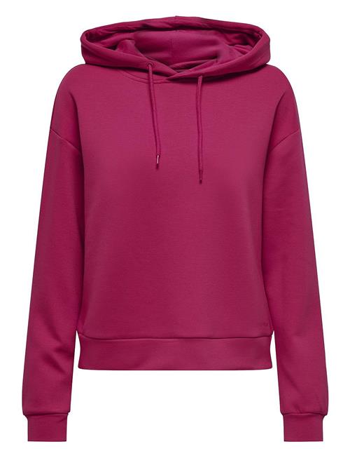 Onplounge Ls Hood Sweat - Noos Only Play Pink