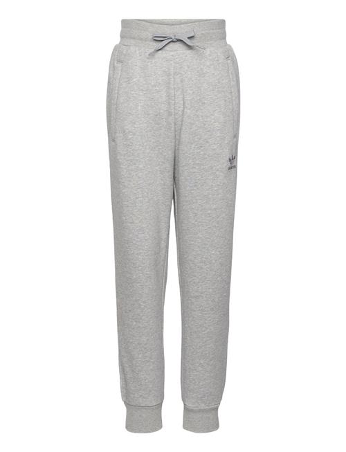 Pants Adidas Originals Grey