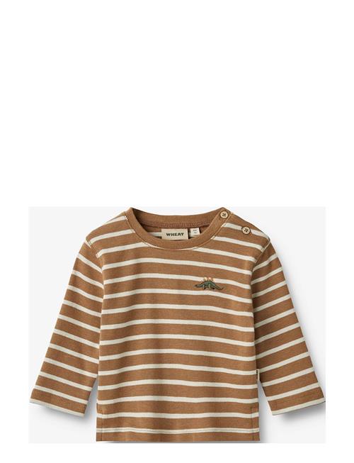 T-Shirt L/S Dustin Wheat Brown