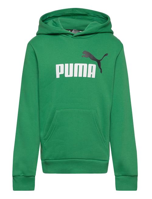 Ess+ 2 Col Big Logo Hoodie Fl B PUMA Green