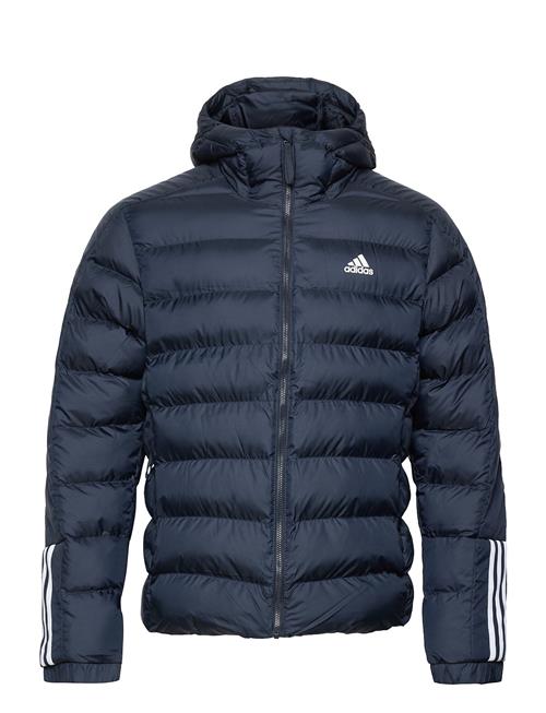 Se Itavic 3S Midweight Hooded Jacket Adidas Sportswear Blue ved Booztlet