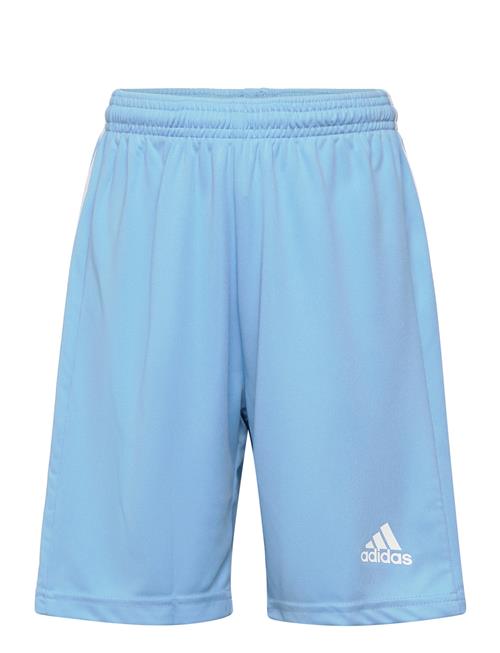 Squadra 21 Short Youth Adidas Performance Blue