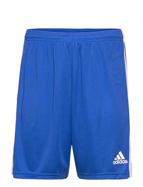 Squadra 21 Short Adidas Performance Blue