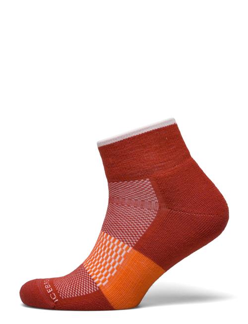 Men Merino Multisport Light Mini Icebreaker Red