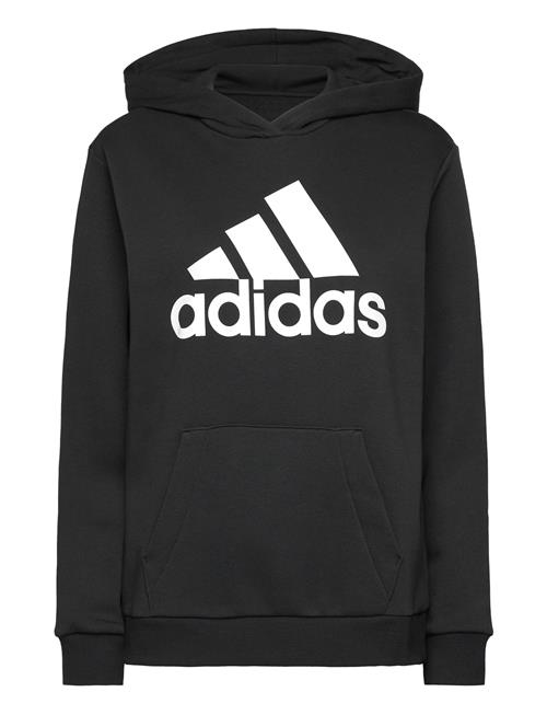 W Bl Ov Hd Adidas Sportswear Black