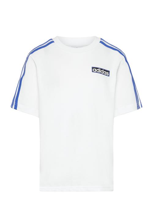 Tee Adidas Originals White