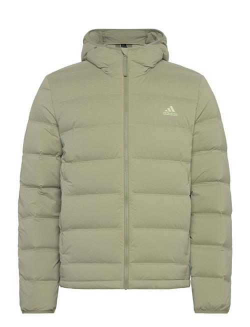 Helionic Stretch Hooded Down Jacket Adidas Sportswear Green