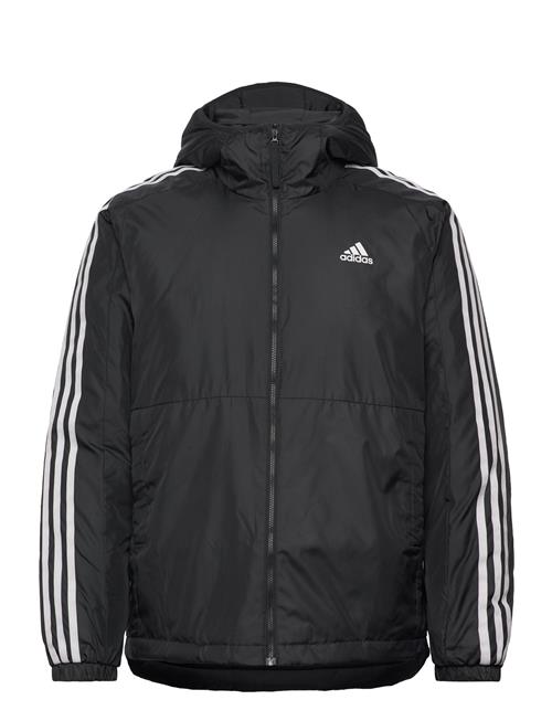 Adidas Essentials 3S Insulated Hooded Jacket Adidas Sportswear Black