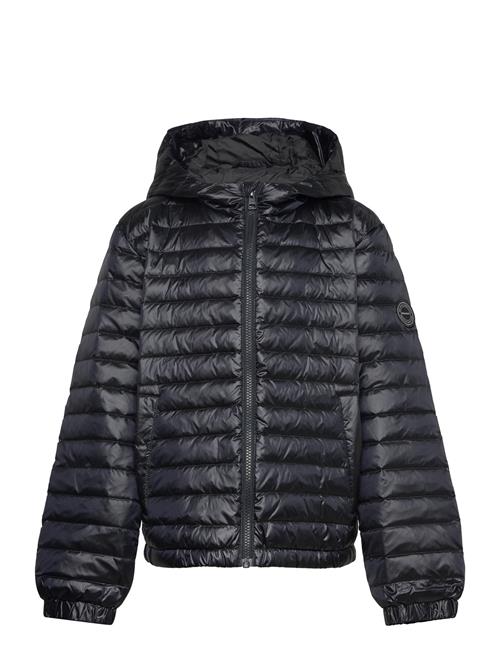 Shiny Light Padded Down Jacket GANT Black