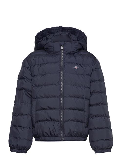 Shield Padded Jacket GANT Navy