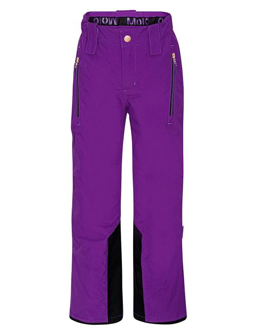 Jump Pro Molo Purple