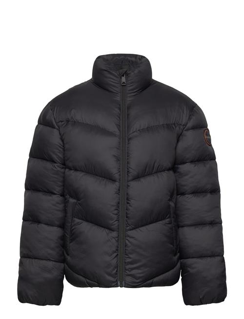 Carrel Puffer Jacket Napapijri Black