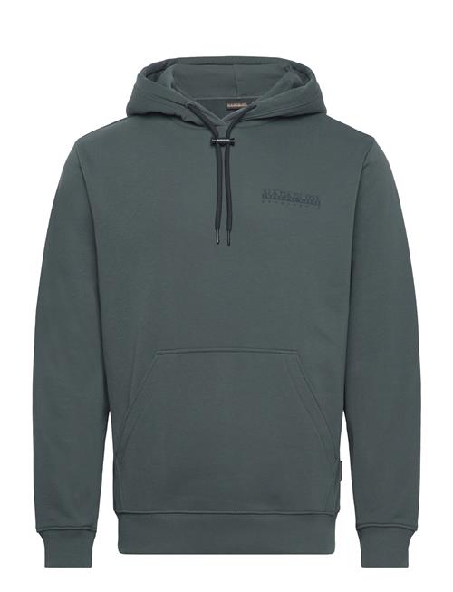 Albula Hoodie Napapijri Green