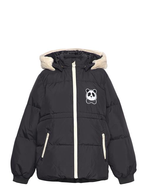 Panda Hooded Puffer Jacket Mini Rodini Black