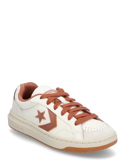 Pro Blaze Classic Converse Beige