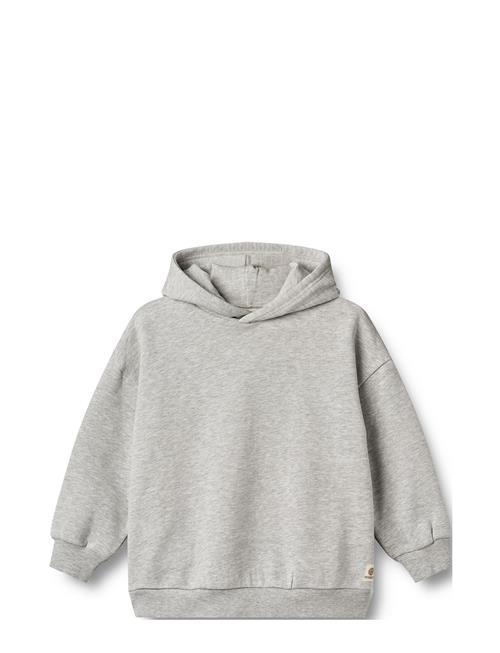 Hoodie Bonno Wheat Grey