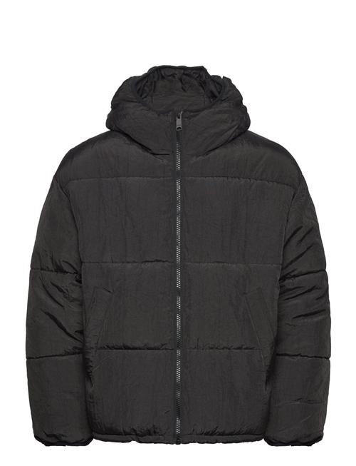 Se Puffer Jacket Weekday Black ved Booztlet